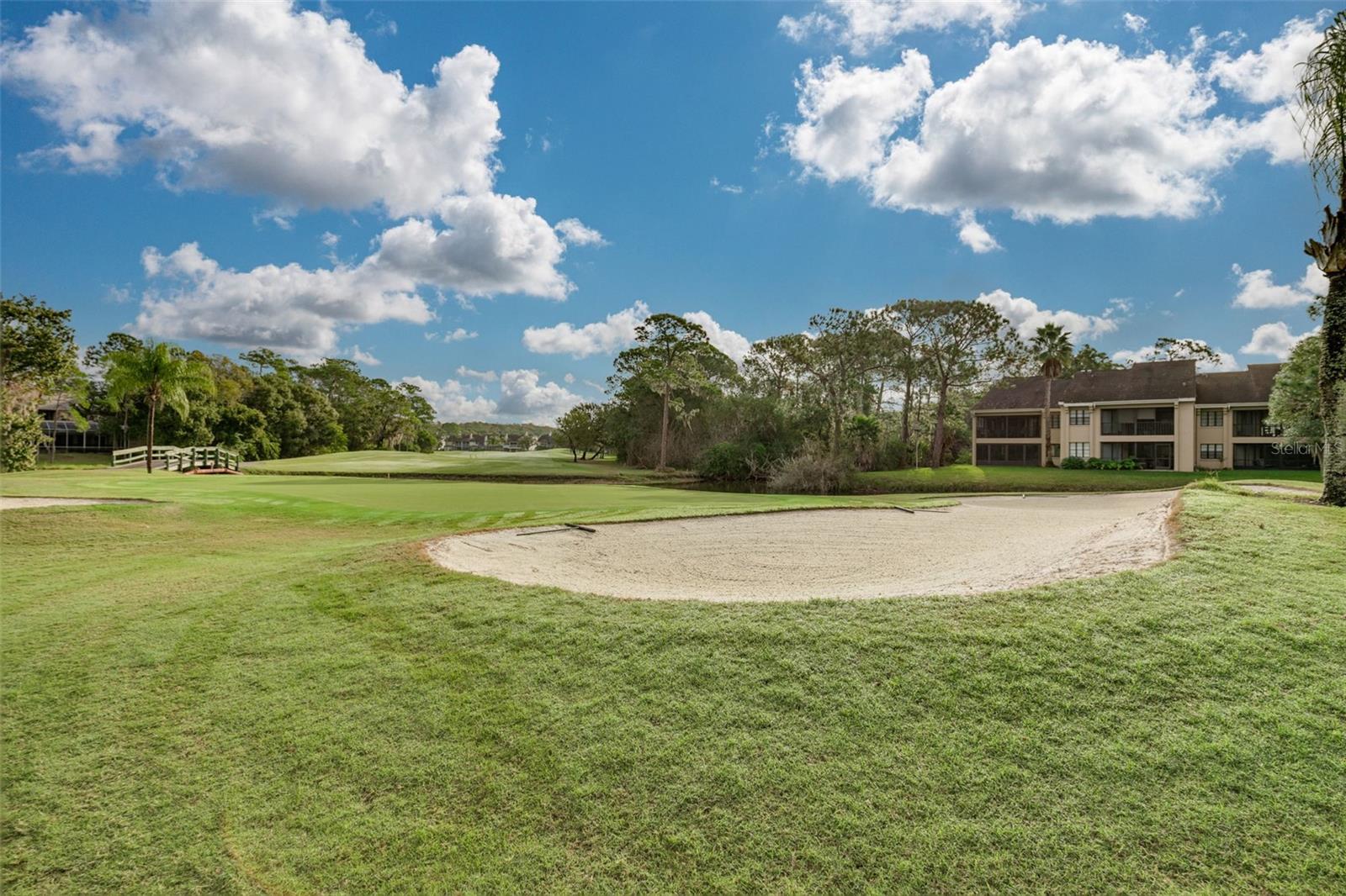 EAST LAKE WOODLANDS - Residential