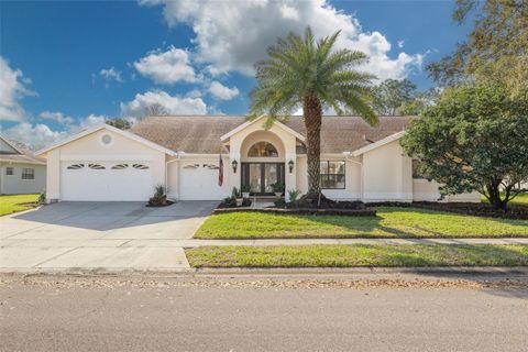 Photo of 470 Hickorynut Avenue, Oldsmar, FL 34677 (MLS # TB8485715)