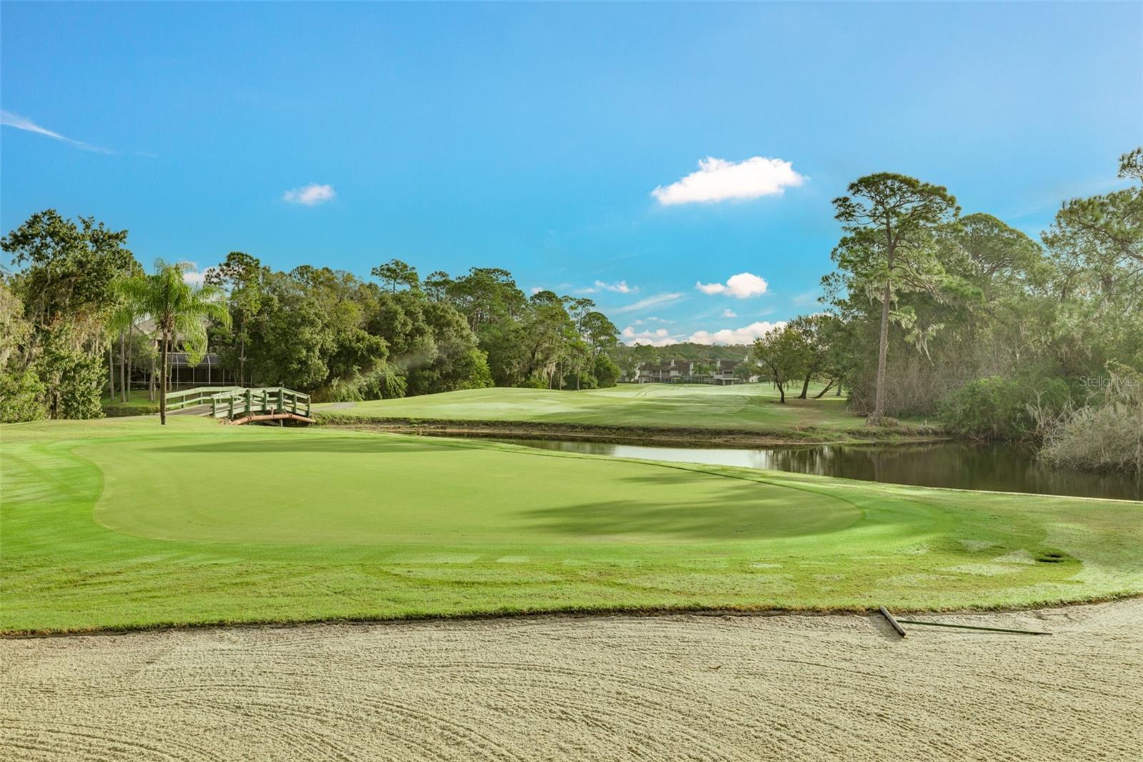 EAST LAKE WOODLANDS - Residential