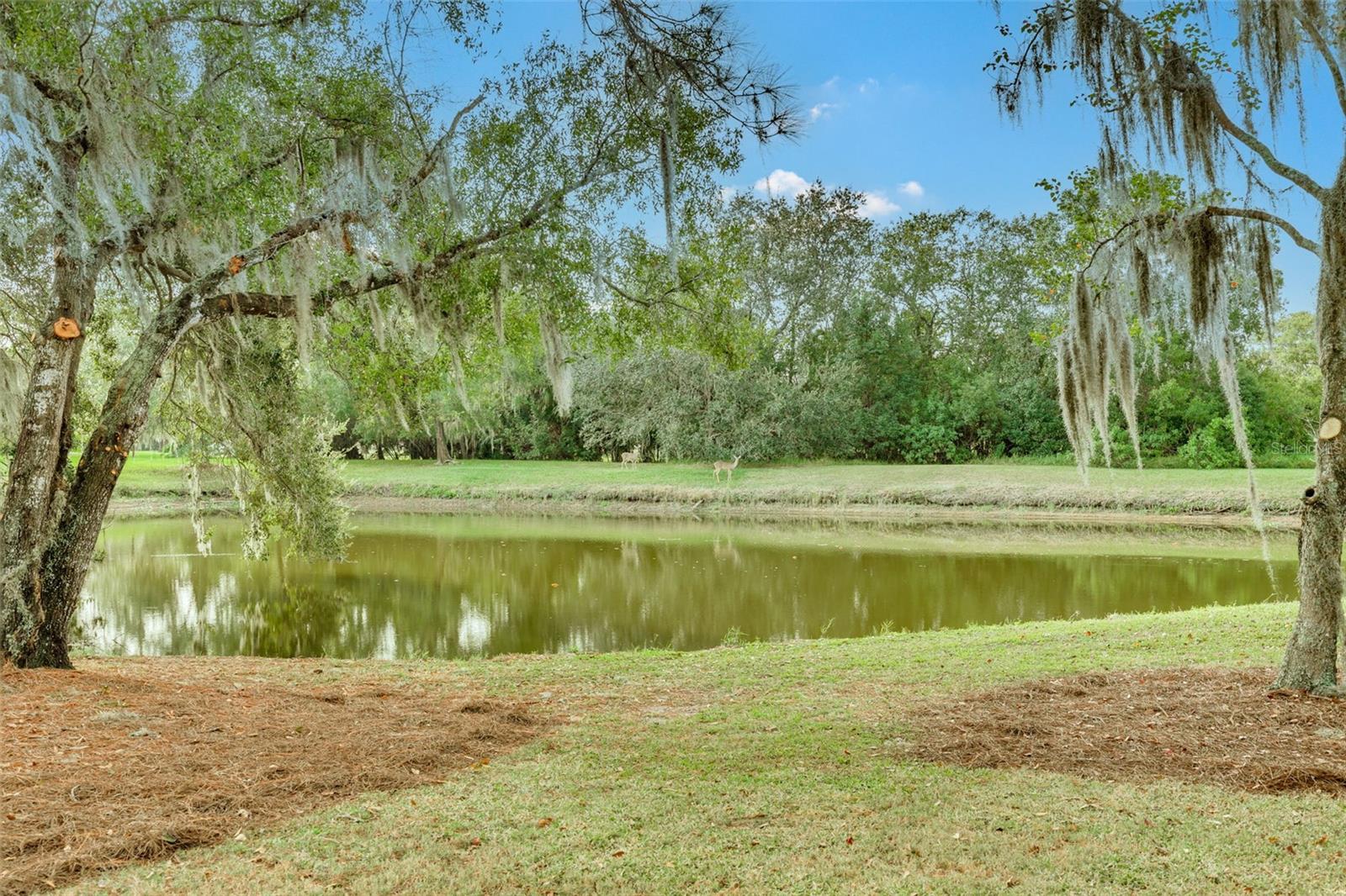 EAST LAKE WOODLANDS - Residential