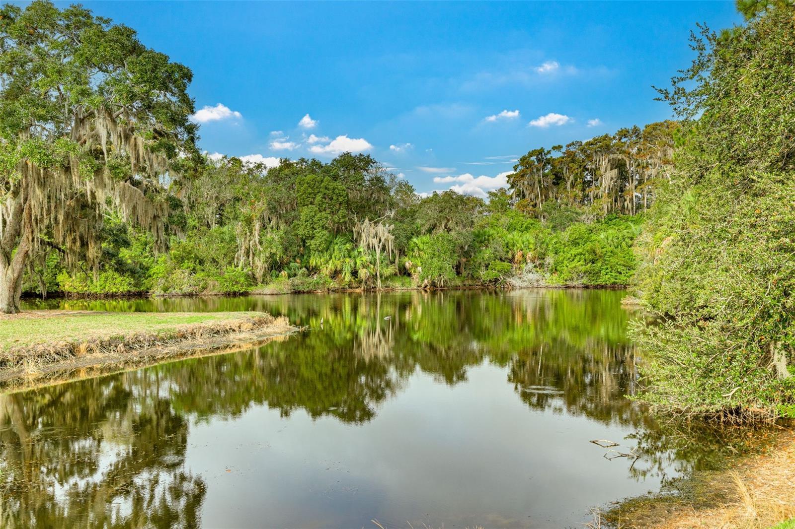 EAST LAKE WOODLANDS - Residential