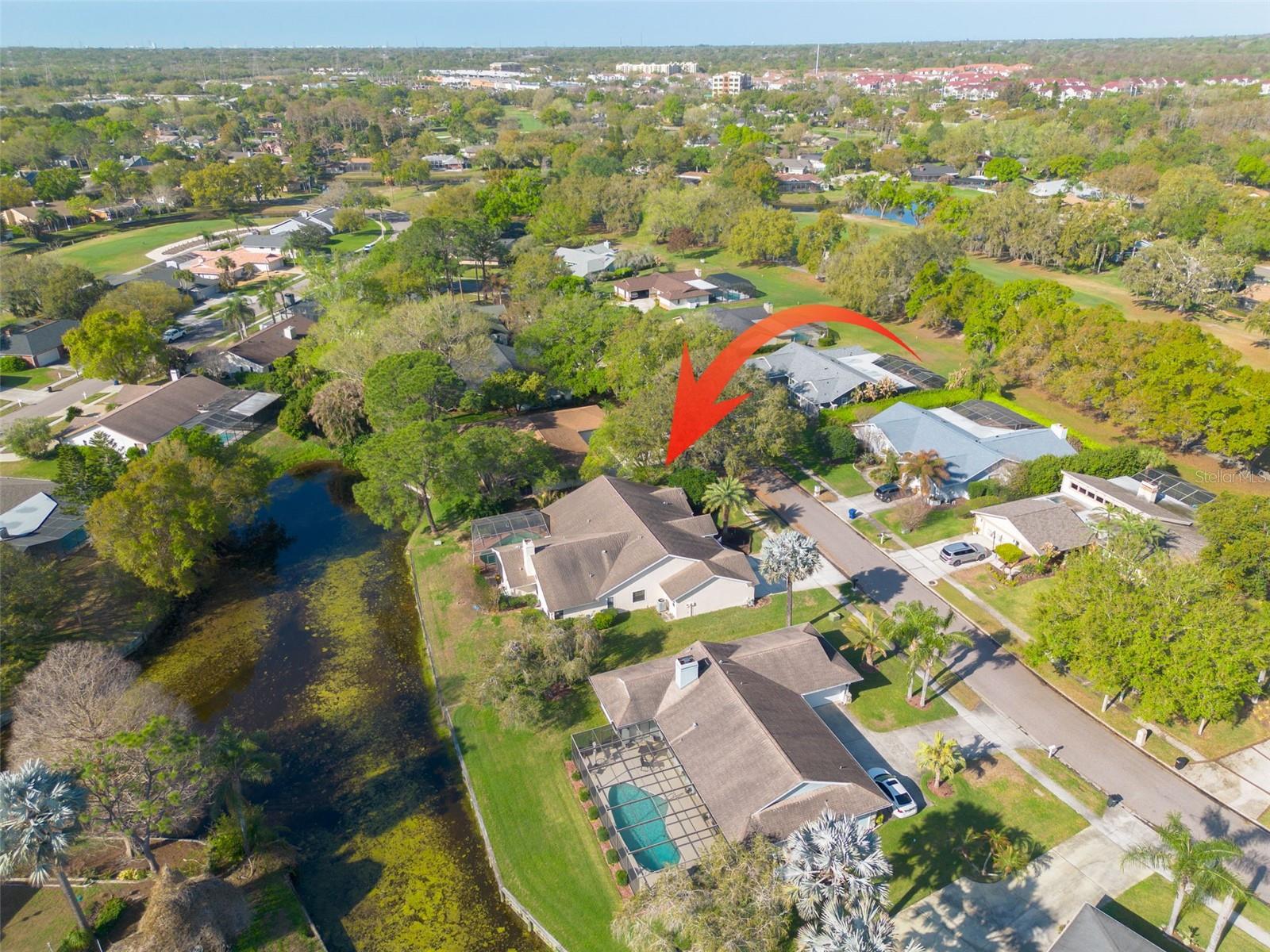 EAST LAKE WOODLANDS - Residential