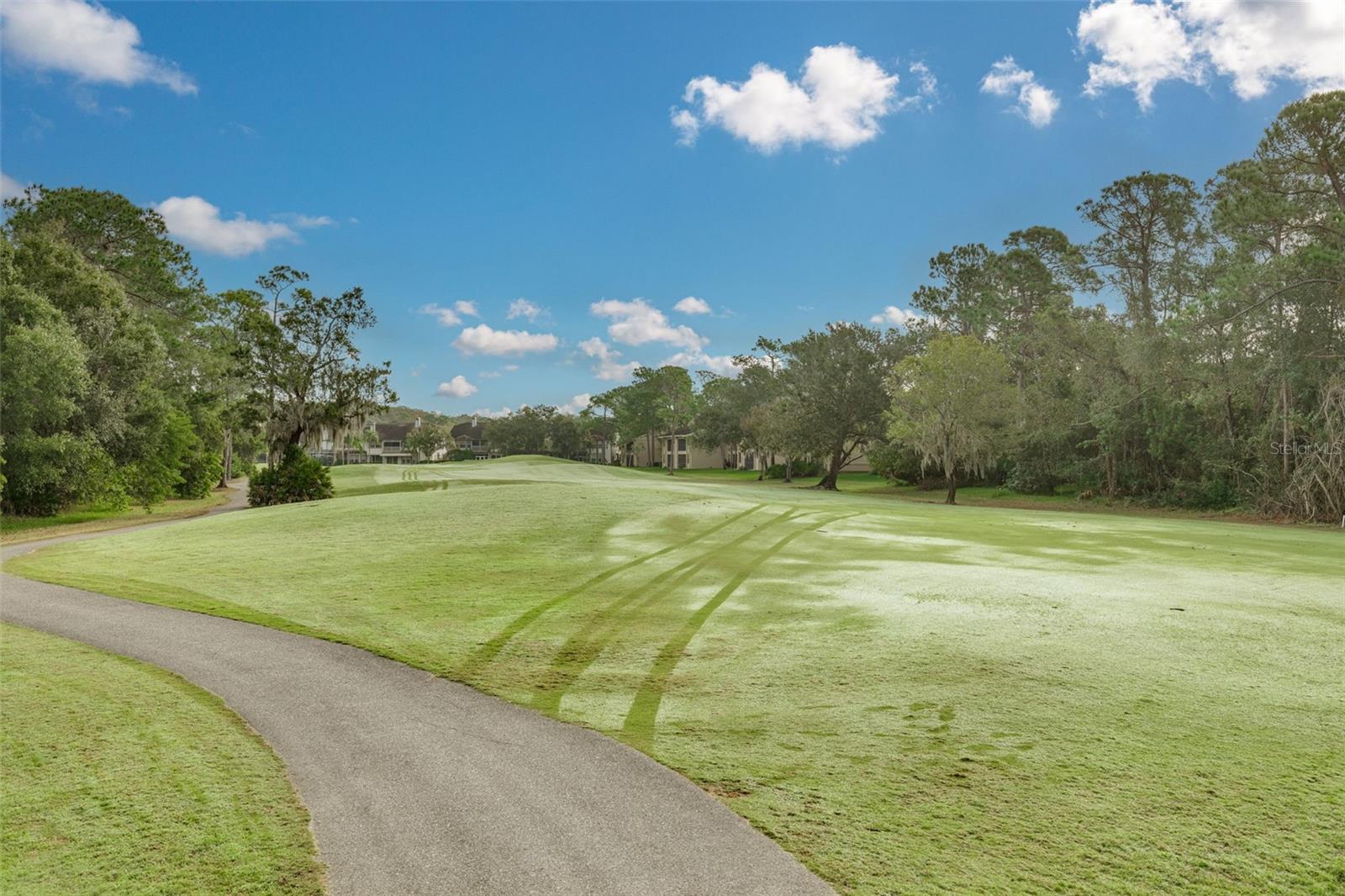 EAST LAKE WOODLANDS - Residential