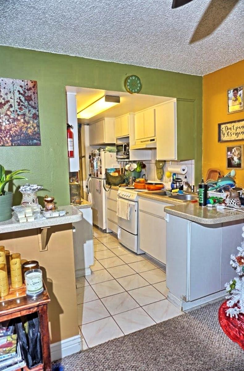 PARADISE LAKES CONDO - Residential