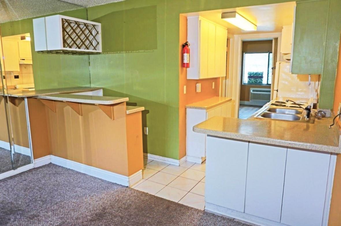 PARADISE LAKES CONDO - Residential