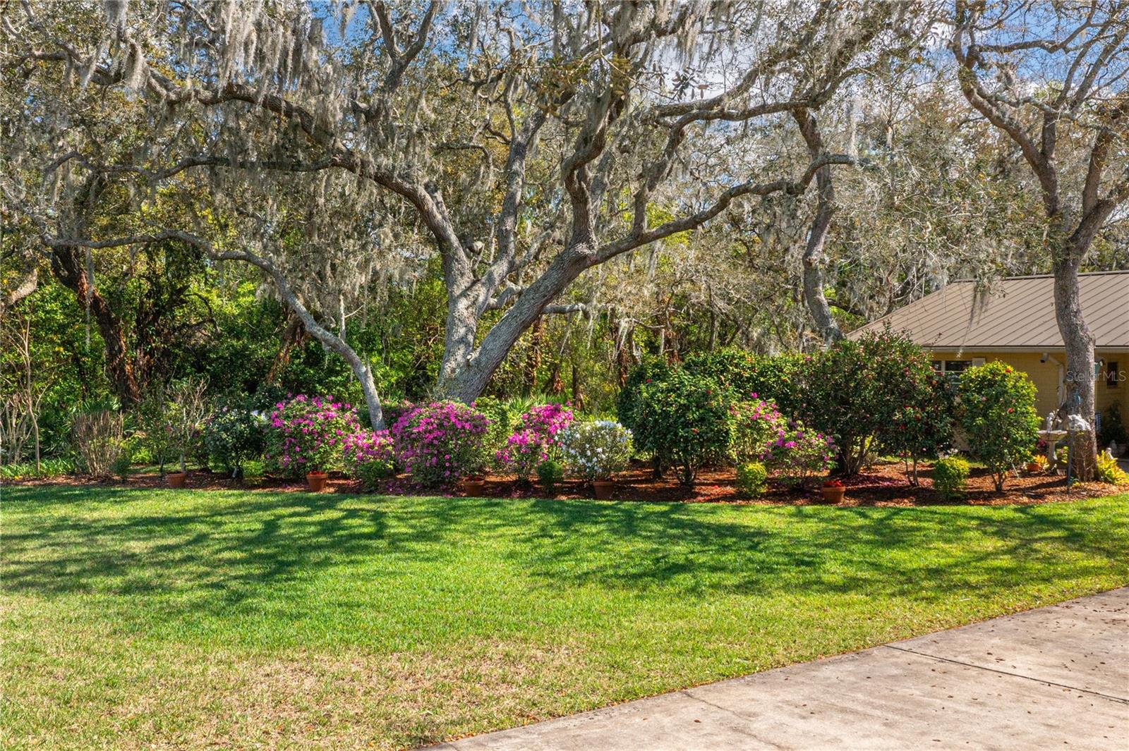 SPRING PINES - Residential