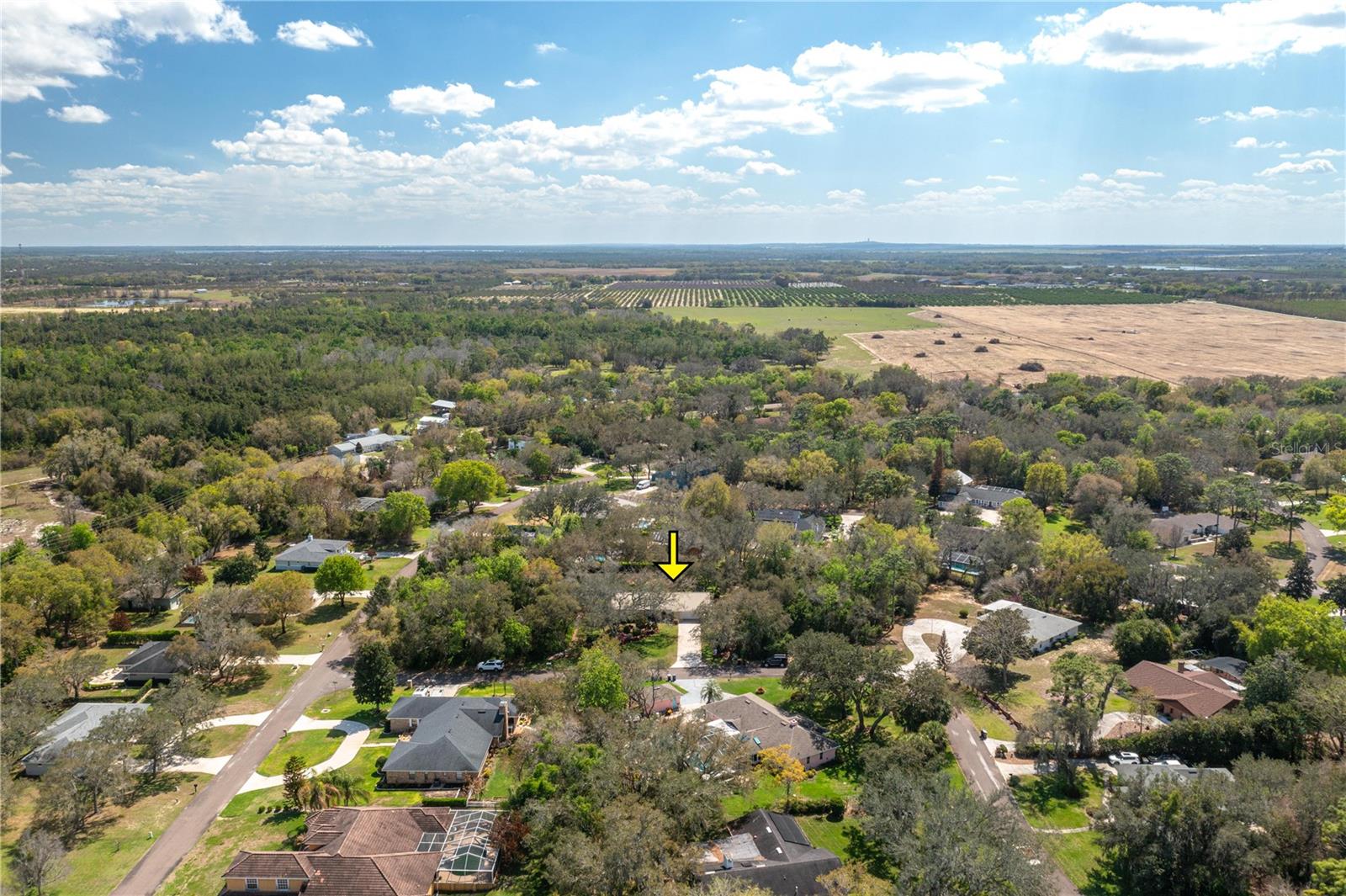 SPRING PINES - Residential