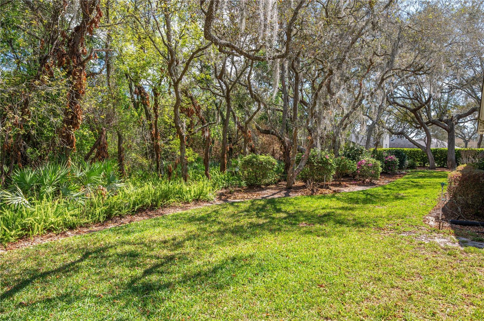 SPRING PINES - Residential