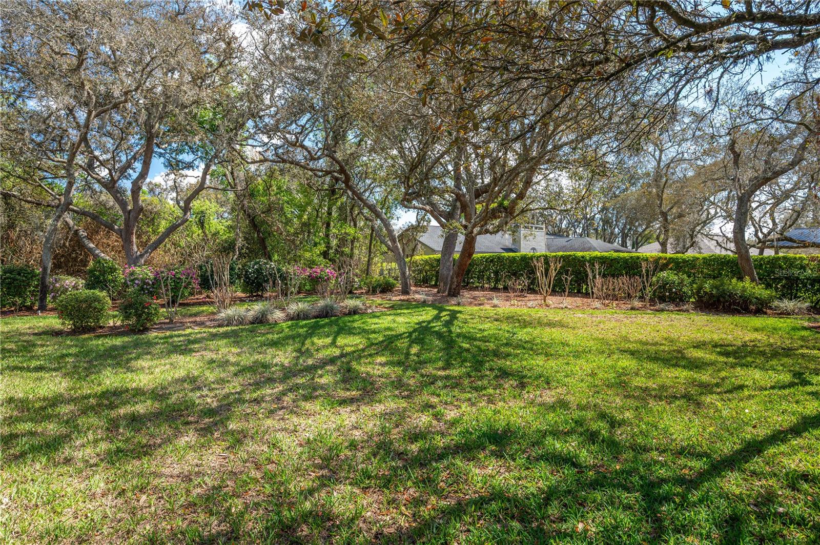 SPRING PINES - Residential