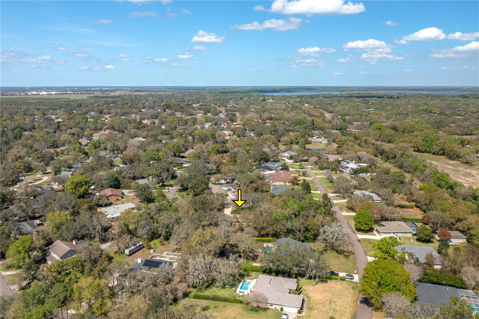 SPRING PINES - Residential