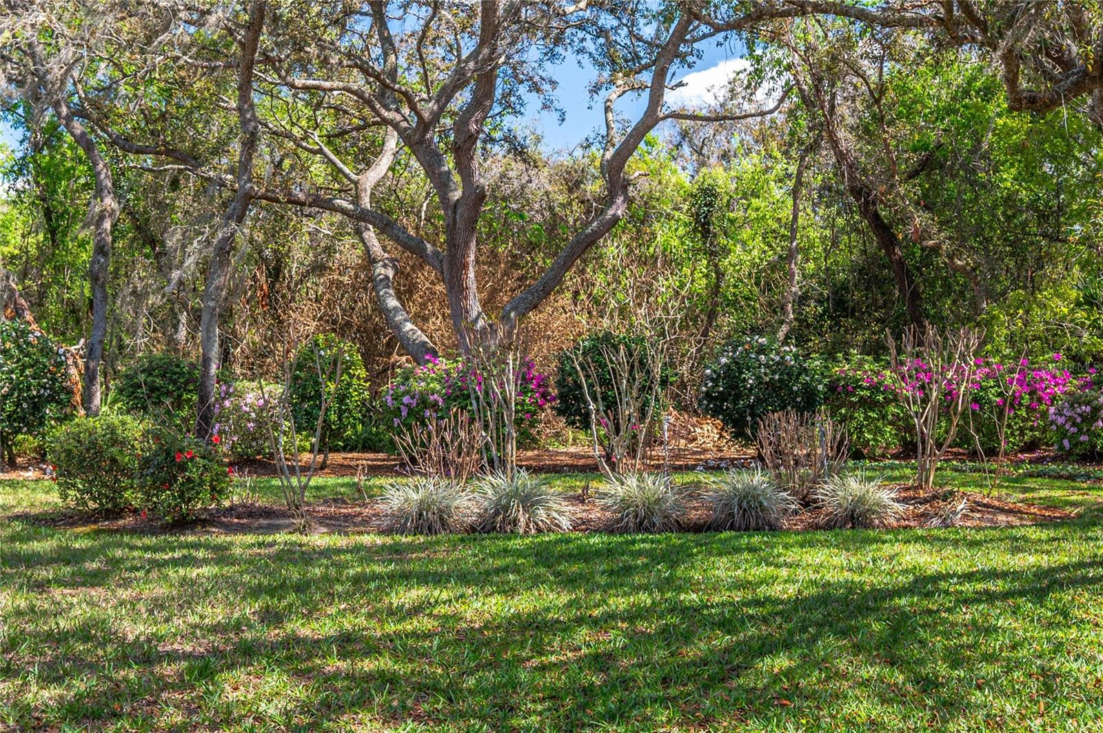 SPRING PINES - Residential