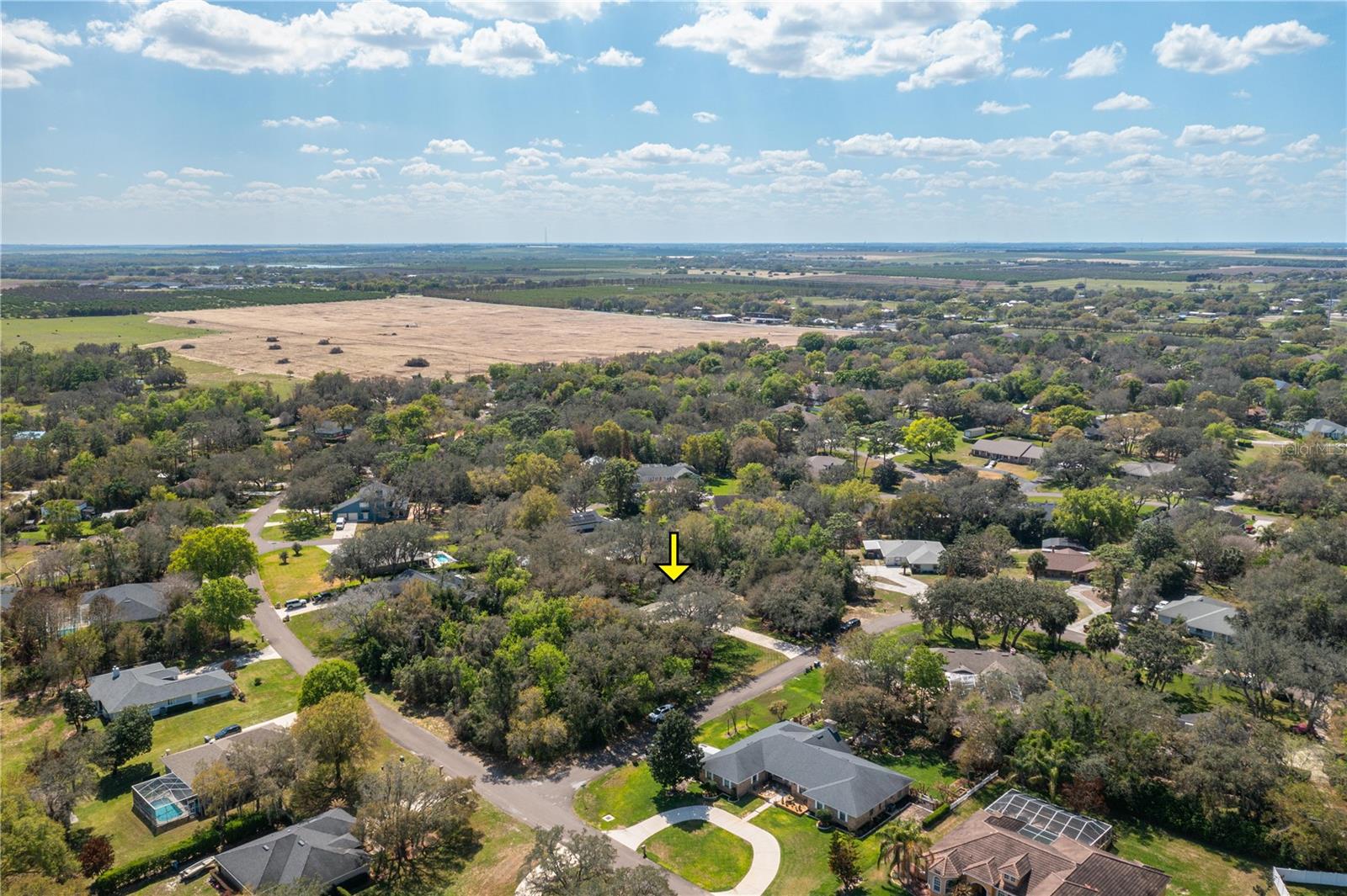 SPRING PINES - Residential