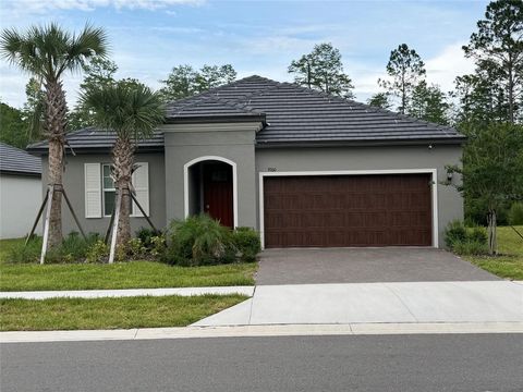 Photo of 9760 Minnow Ray Drive, Land O Lakes, FL 34638 (MLS # TB8518391)