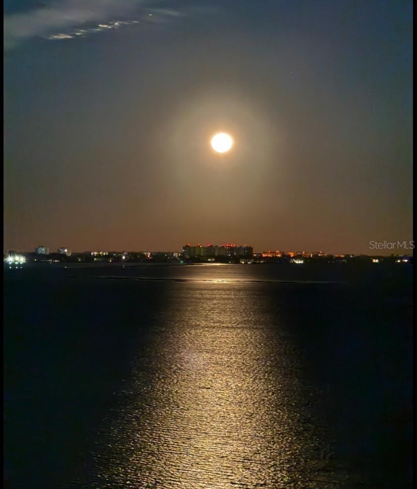 THE TOWER RESIDENCES - Residential