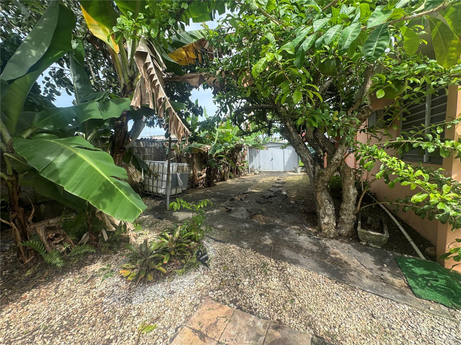 VILLA CAROLINA - Residential
