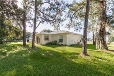 A home in KISSIMMEE