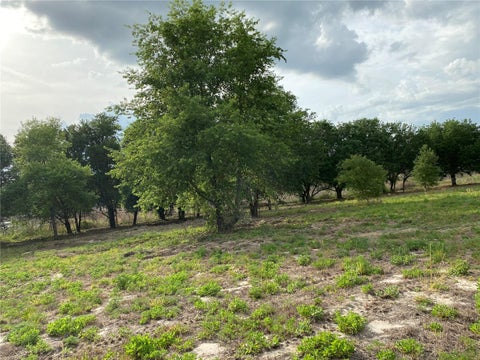 Photo of South O 'Brien Road, Groveland, FL 34736 (MLS # O6391229)