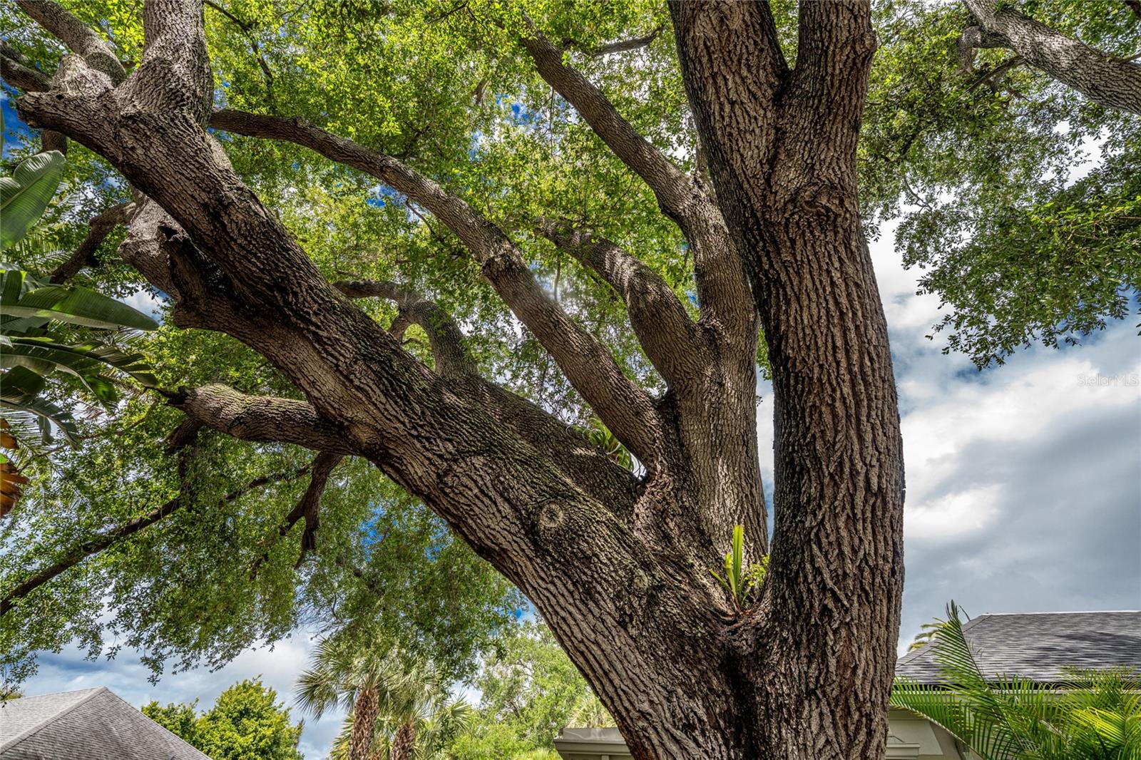 ENGLEWOOD GOLF VILLAS 06 - Residential