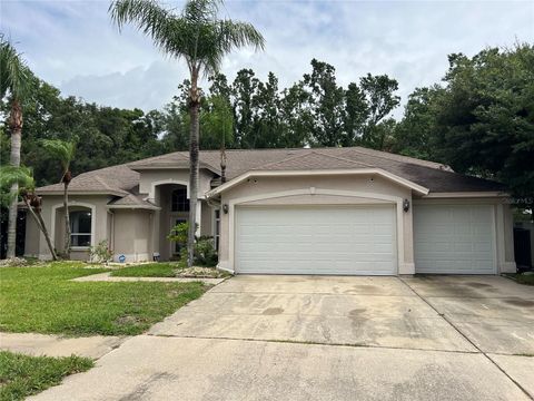 A home in WESLEY CHAPEL