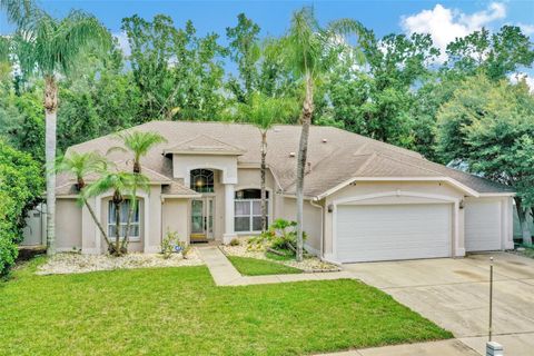 A home in WESLEY CHAPEL