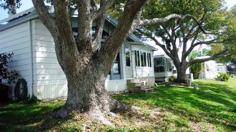 A home in SAFETY HARBOR