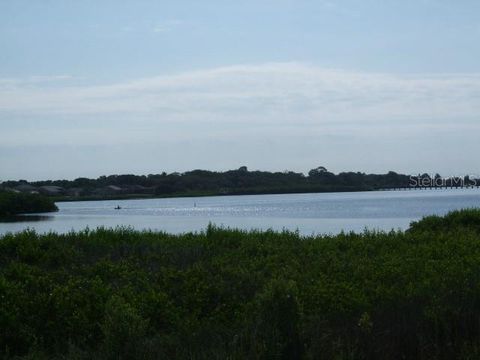 A home in SAFETY HARBOR