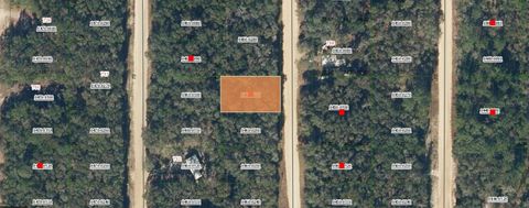 24-09-24-4075-0460-0270 USINA AVENUE INTERLACHEN FL 32148