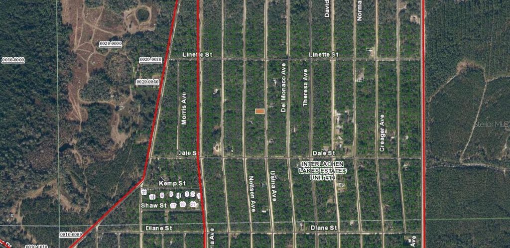 Photo of 24 Usina Avenue, Interlachen, FL 32148 (MLS # A4670518)