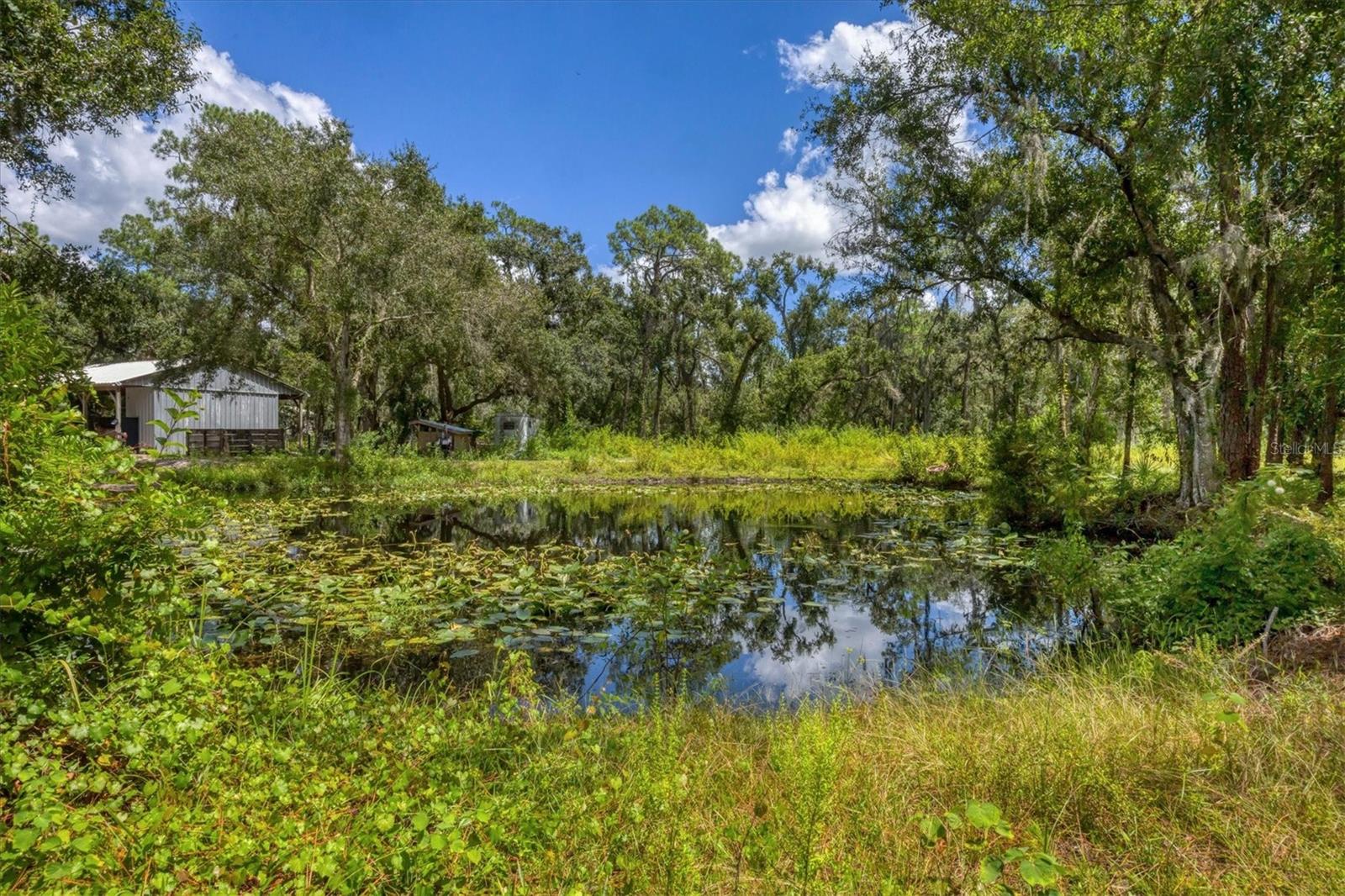 NOT IN SUBDIVISION - Residential