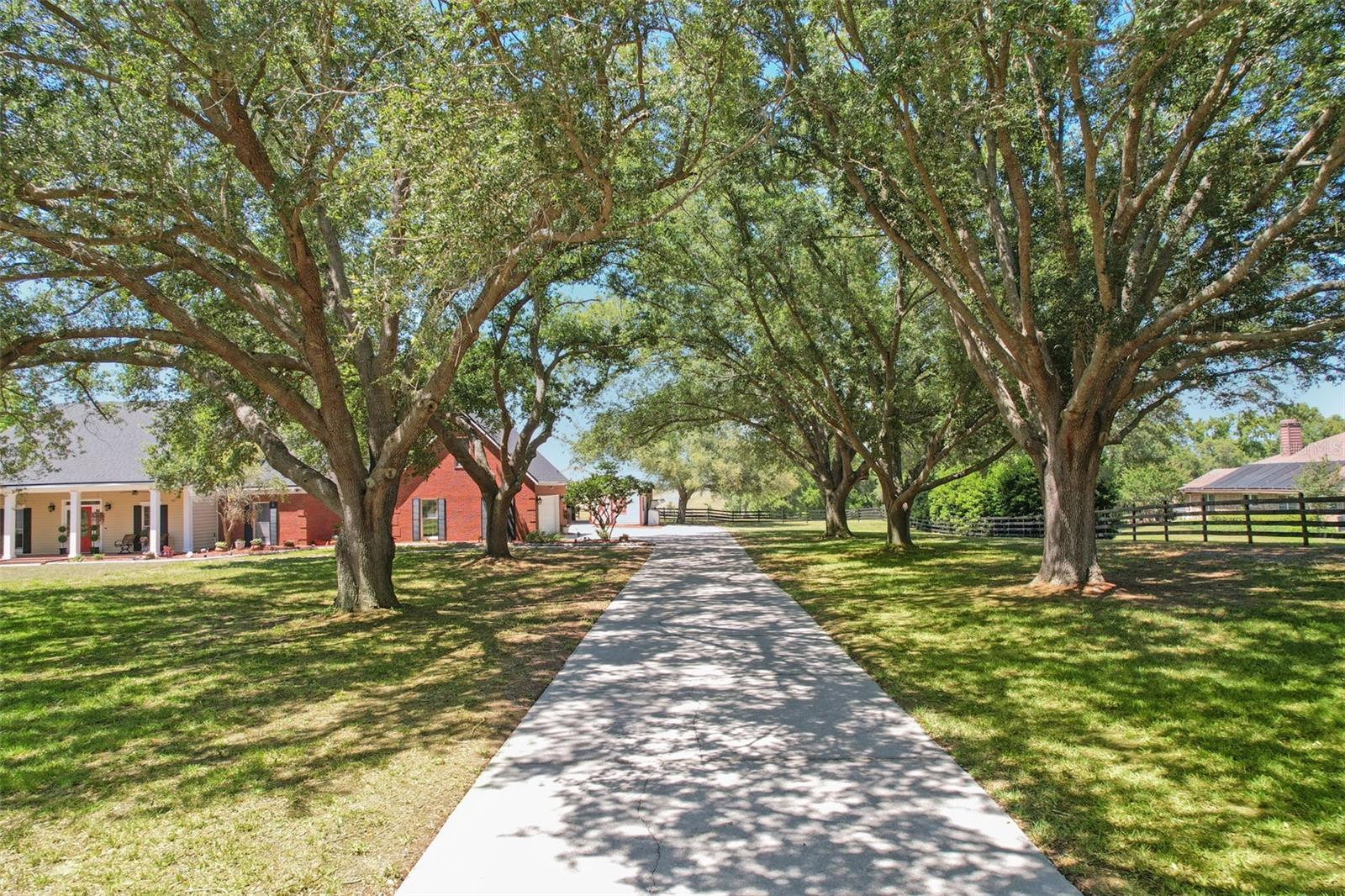 TRAILS OF MONTVERDE SUB - Residential