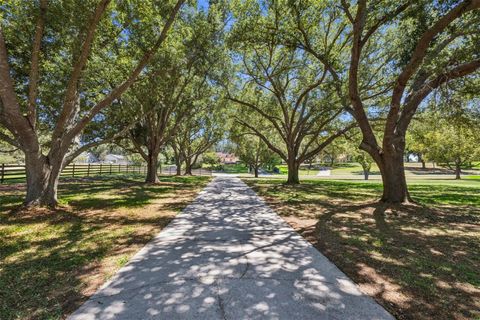 Tiny photo for 14951 Thoroughbred Ln, Montverde, FL 34756 (MLS # G5112347)