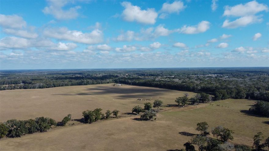 Looking to add to your farming operation or start a new development? This is the place for you! 231 acres of wide open pastures in the city of High Springs. This property is fenced and cross fenced for livestock and is currently hosting cattle. The land offers numerous shady spots with beautiful oaks as well as plenty space to grow crops. The neighboring properties to the east are part of the beautiful Cinnamon Hills Estate. West of this property there is a three hundred acre solar farm. Call today to schedule a time to see for yourself!