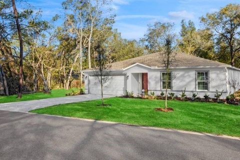 Photo of 13075 Tinamou Avenue, Brooksville, FL 34614 (MLS # O6392213)