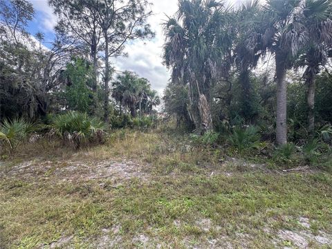 26129 FLOWER ROAD PUNTA GORDA FL 33955