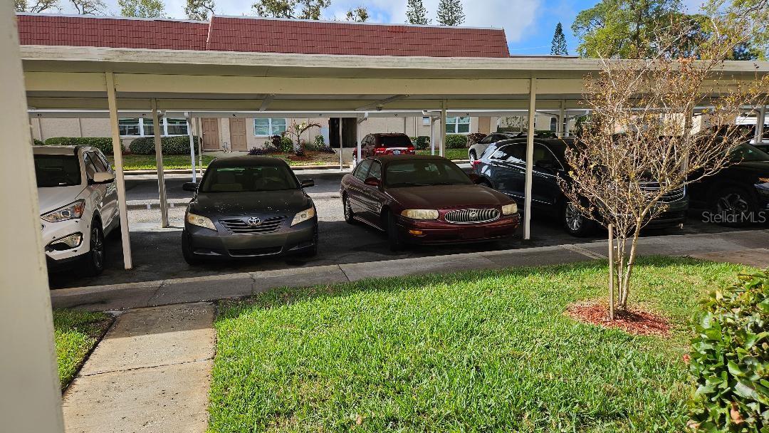 10035 63RD AVENUE N 6