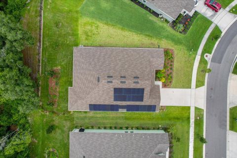 A home in MOUNT DORA