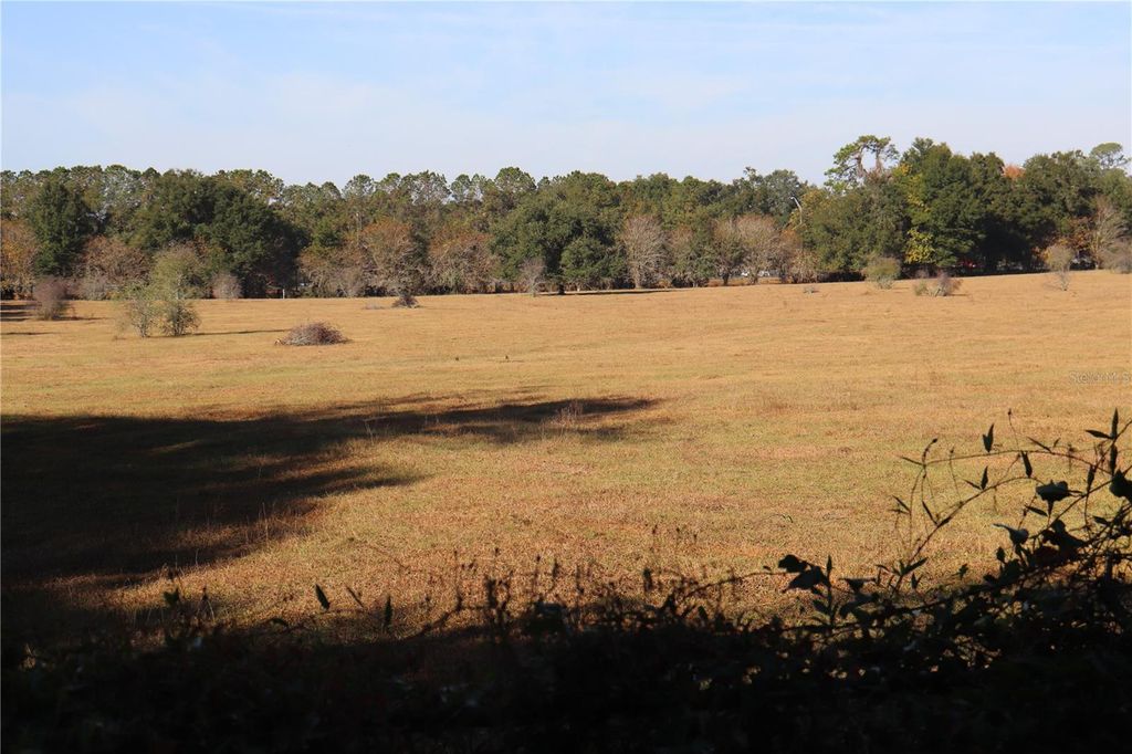 Photo of 8340 SW 35th Avenue, Ocala, FL 34476 (MLS # OM714003)