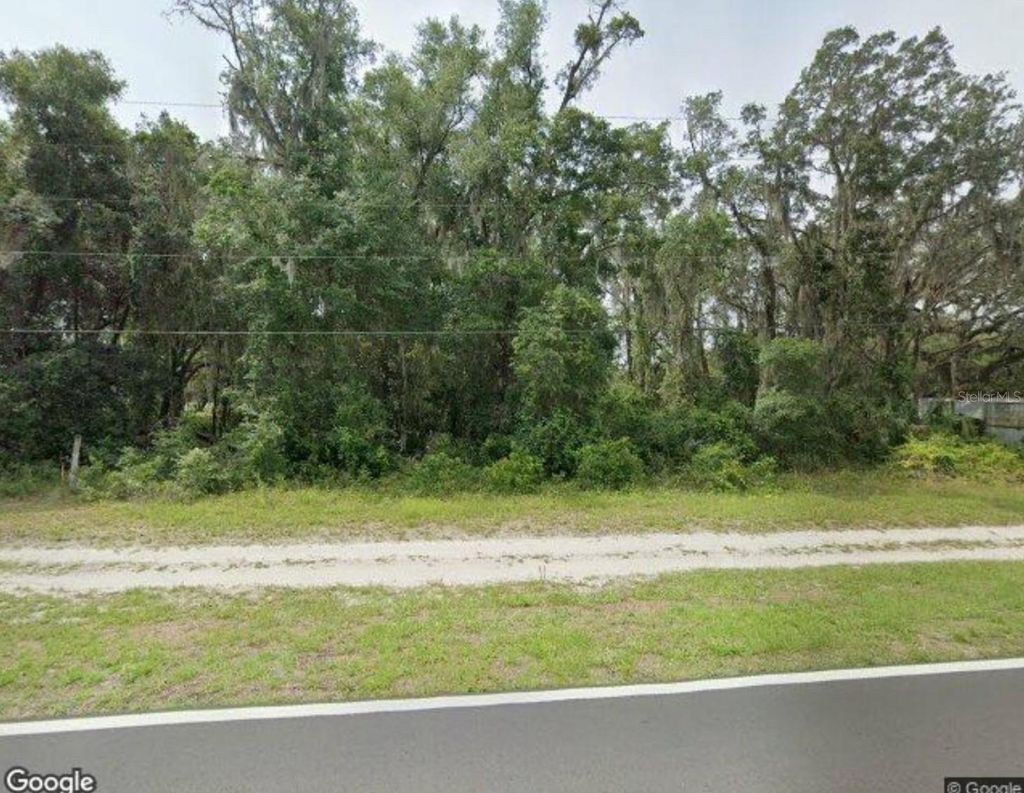 Photo of 7208 E Turner Camp Road, Inverness, FL 34453 (MLS # T3520498)