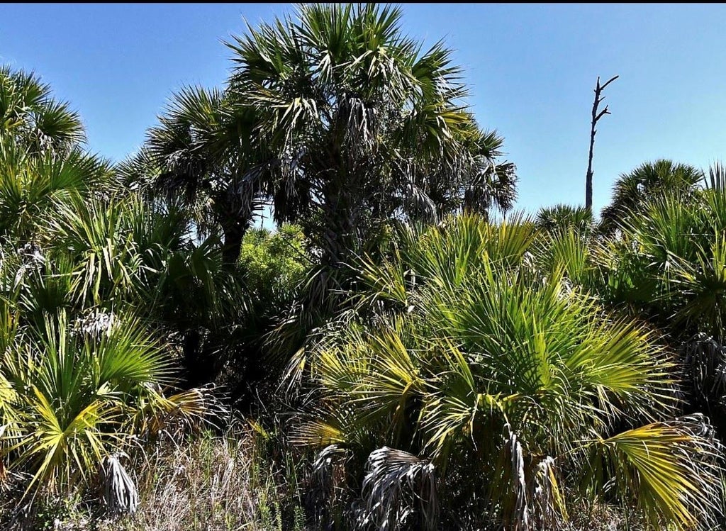 Photo of Snowdrift Terrace, North Port, FL 34288 (MLS # A4711094)