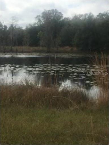 12350 US HIGHWAY 41