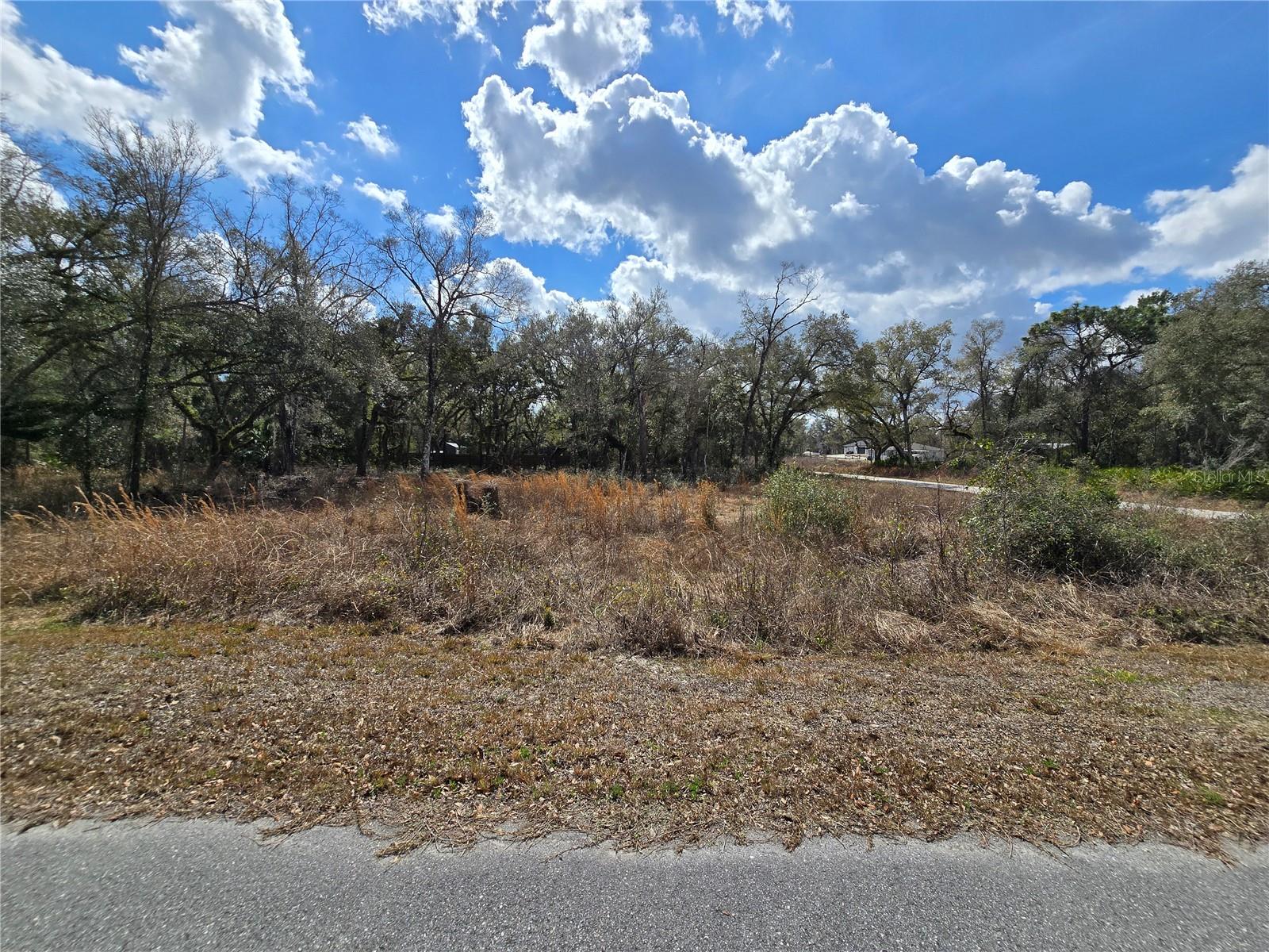 RIDGE MANOR ESTATE - Land