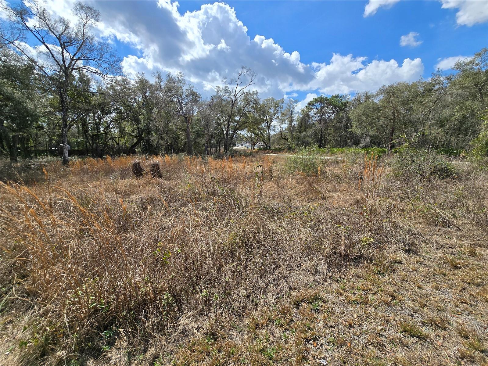 RIDGE MANOR ESTATE - Land