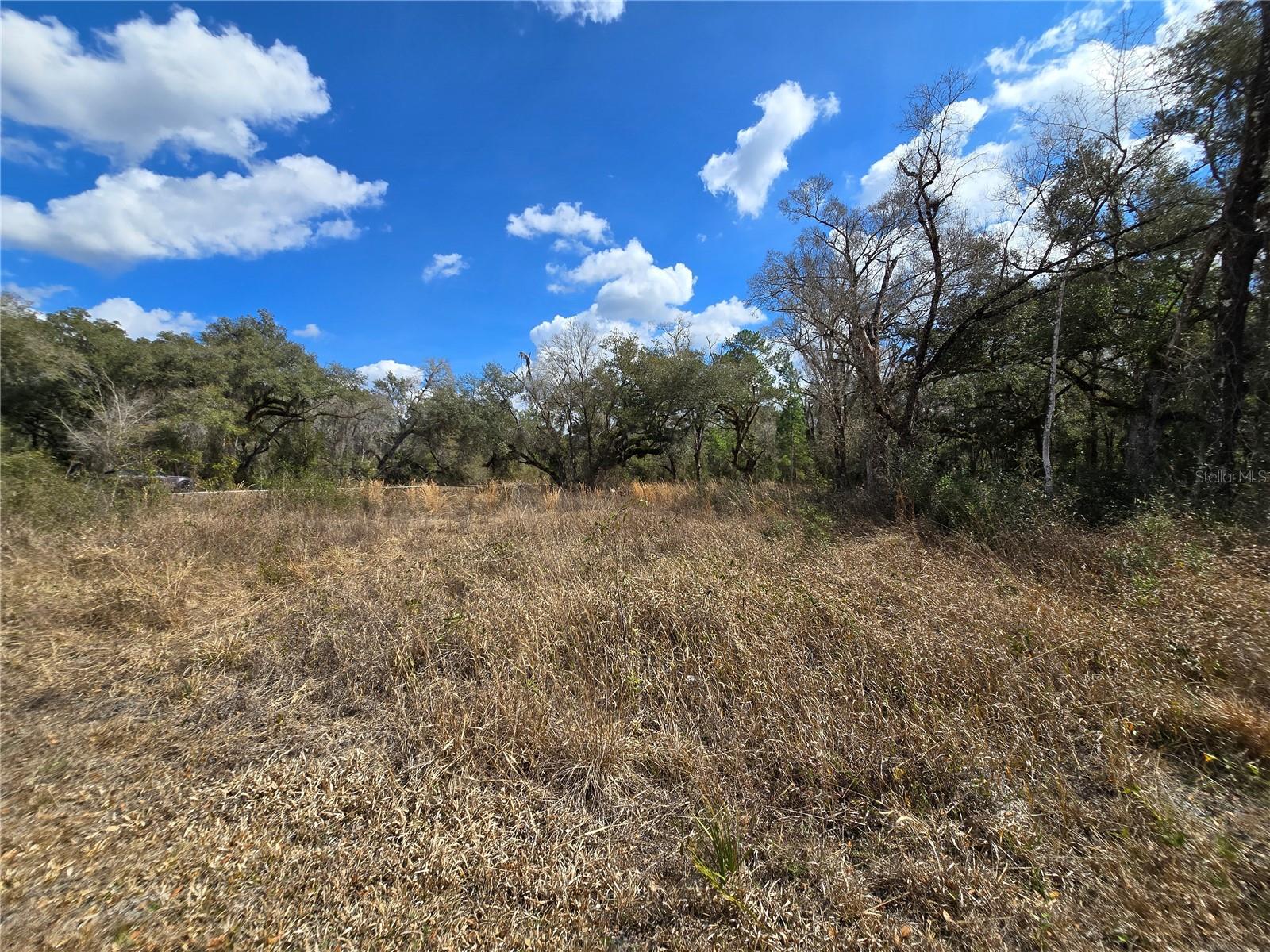 RIDGE MANOR ESTATE - Land