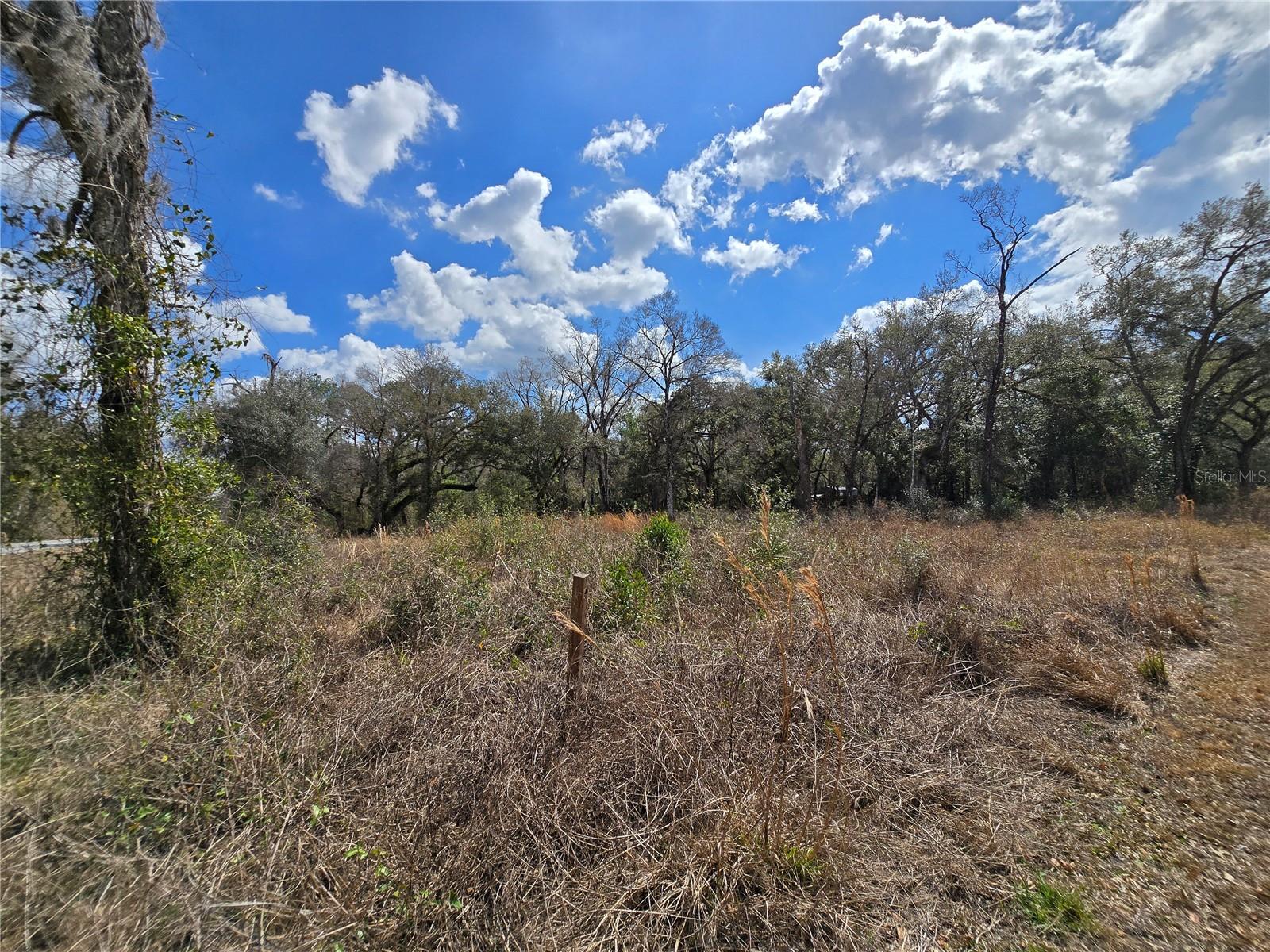 RIDGE MANOR ESTATE - Land