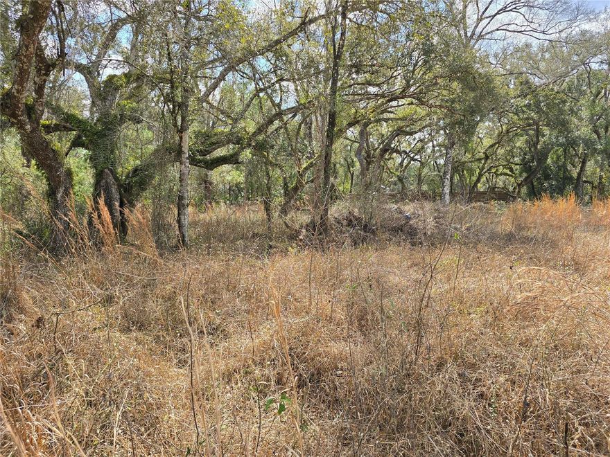 An exceptional opportunity to build your dream home on this DOUBLE CORNER, partially cleared .80 acre lot! NO HOA or deed restrictions! This area is experiencing a lot of growth with newly constructed homes, enhancing property values and community appeal. With street frontage on two sides, this property provides accessibility and flexible design potential. Road access from Long Circle is paved, Yam St is hard lime rock. Nestled in a serene and natural setting that is tucked away, yet only minutes from the very best Hernando County has to offer, including shopping, dining, entertainment & medical facilities, and less than an hour from Tampa International Airport.