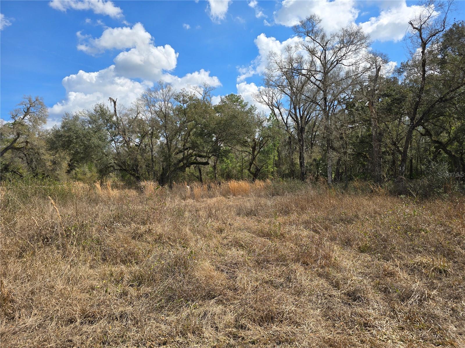 RIDGE MANOR ESTATE - Land