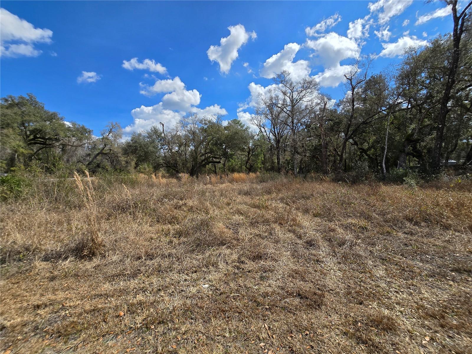 RIDGE MANOR ESTATE - Land