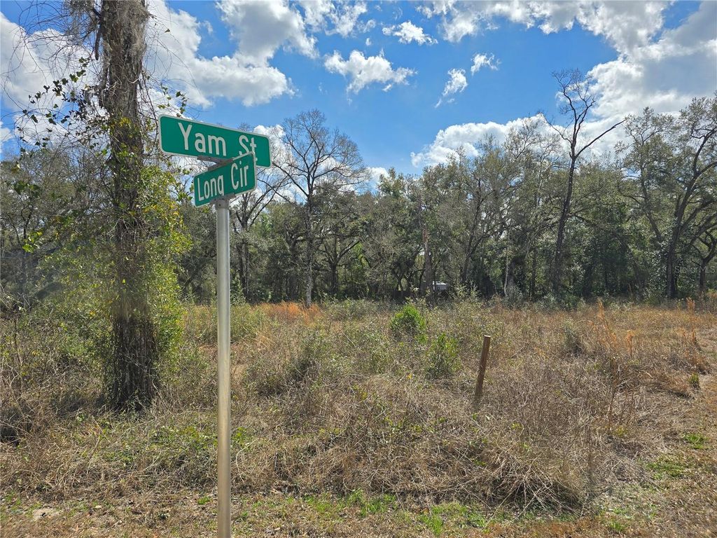 Photo of 6436 Yam Street, Webster, FL 33597 (MLS # OM719244)