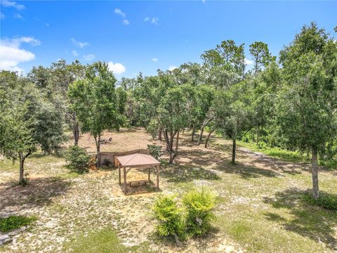 Tiny photo for 10220 Bay Lake Road, Groveland, FL 34736 (MLS # O6331633)