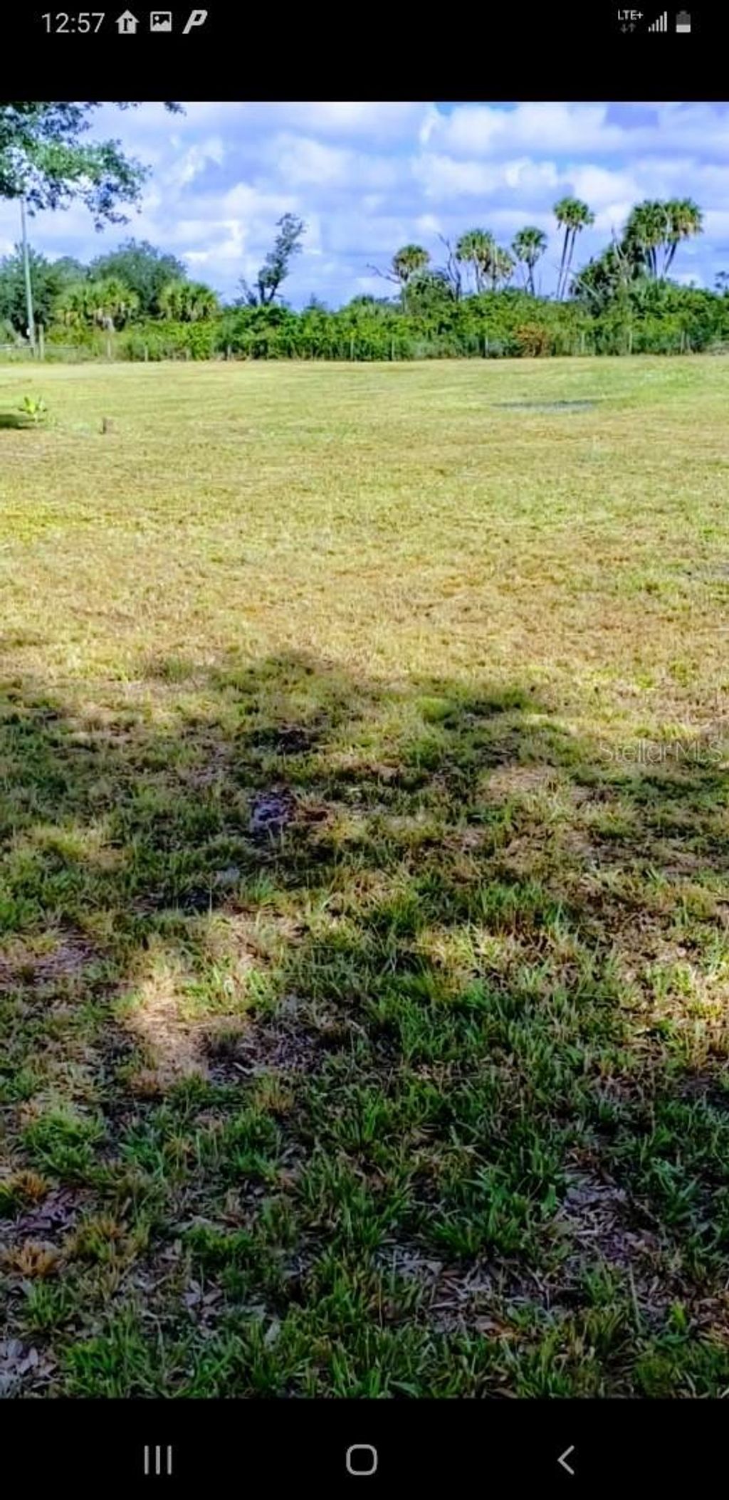 Photo of 15997 NW 286th Street, Okeechobee, FL 34972 (MLS # TB8469167)